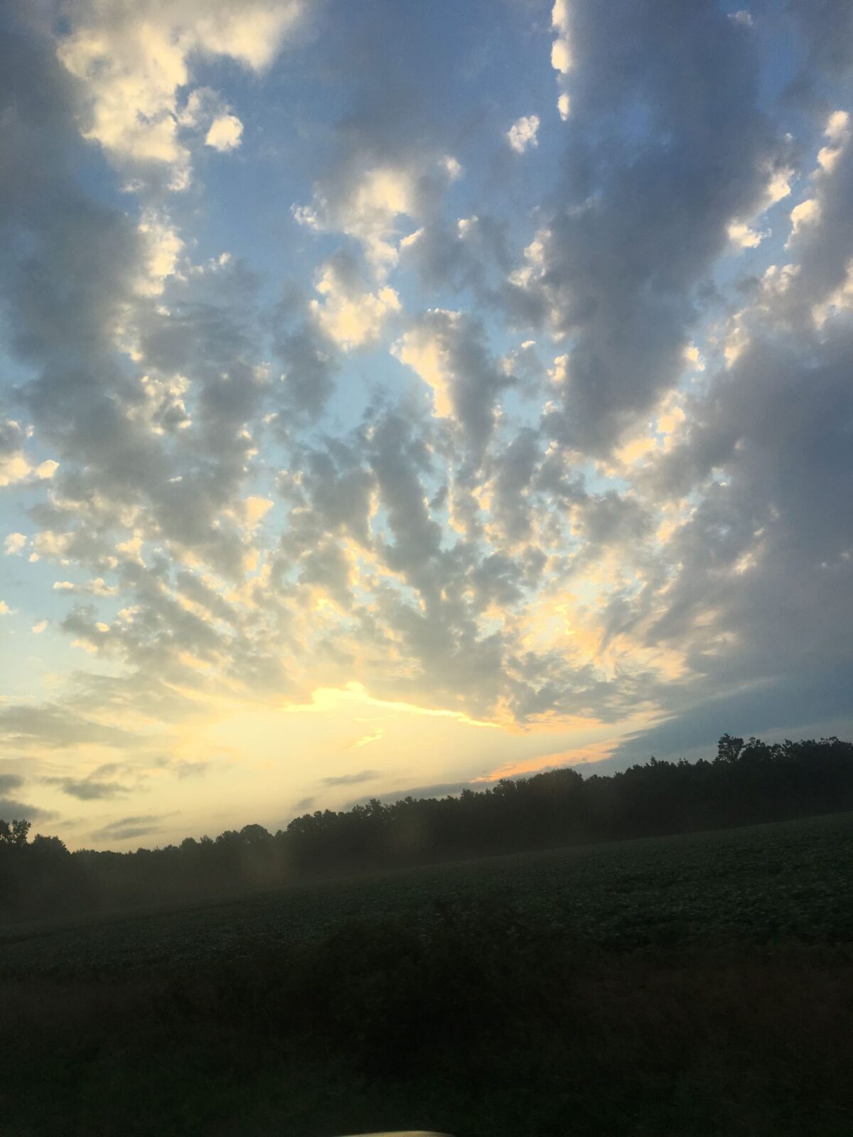 2018-08-12-06.38.48-small-rotated