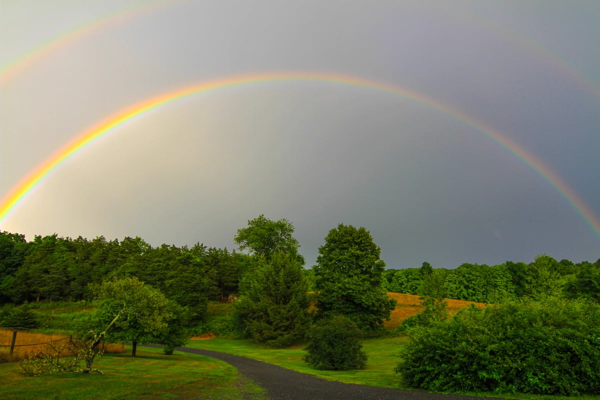 Copy of Rainbow